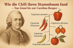 Wie die Chili ihren Stammbaum fand – Von Linné bis zur Carolina Reaper